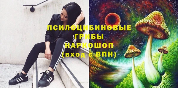 ALPHA-PVP Новодвинск
