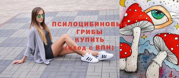 гашик Аркадак