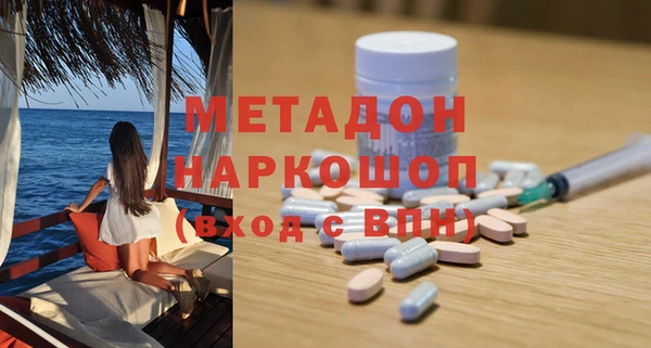 индика Новозыбков